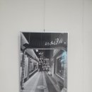 수풀캘리그라피 이미지