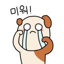 웨딩프로포즈 이미지