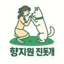 기초수어 | 강아지 수어 훈련 후기 - 놀라운 반응 공개