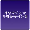 사람 죽이는 꿈 사례별 사람을 죽이는 꿈 12가지 풀이 이미지