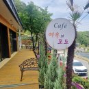 여우와 포도 | 김천애견동반카페 [여우와포도] 디저트가 맛있는, 예쁜 경치가 완전 맘에 쏙 들었던 부곡동카페!