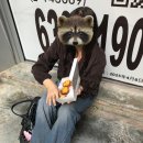 다이아몬드 유통 강아지 사랑 | 사랑에 유통기한이 있다면