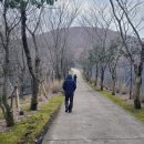 노루 화장실 이미지