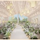 강남-289 이미지