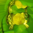 서울복음치과의원 이미지