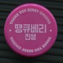 땡큐베리(Thankyou berry) 티스토리