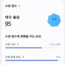 나이테주 이미지