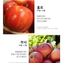명품순수과일