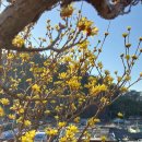 금곡마을 이미지