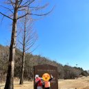 설해원 더 레전드 코스 | 강원도 양양 설해원 골프 라운딩 솔직 후기 러프와 항아리 벙커 탈출 꿀팁