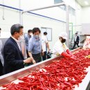 고추시장(좌) 이미지