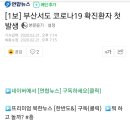 [1보] 부산서도 코로나19 확진환자 첫 발생 이미지