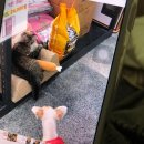 펫홈반려동물용품구월점