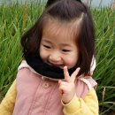 행안초병설유치원 이미지