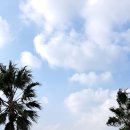 놀이터목장 이미지