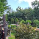 더불어숲 이미지