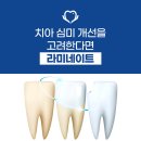 보스턴바우치과의원 네이버블로그