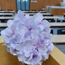 옥산 보건진료소 이미지