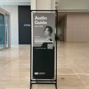 은도빌딩 | 우양미술관 APEC 경주 기념전시 백남준 Humanity In The Circuits 관람 후기