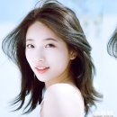 수지맞다 이미지