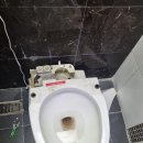 율상마을 푸르지오4단지 | 경남 김해시 율하동 율상마을푸르지오4단지 대림바스 바트라 BC401 투피스 양변기교체시공