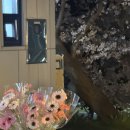 양산천변 | 4월 上 신나는 봄 가벼운 옷차림! 즐거운 잘먹고 잘놀기 너무 좋아 ~~