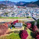 소가주천 이미지