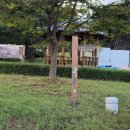 노동상리 이미지