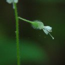 수주초등학교 이미지