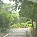 매월2구 | 아이와 가기좋은 예산 봉수산자연휴양림 가야산 후기(놀이 무료체험)