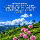 [주일 말씀] 근원(8) - 파멸의 틈새(문) 이미지