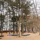 침벽캠핑장 이미지