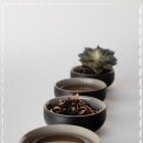 운한의원 이미지