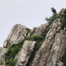 【낙동정맥-2】 부산 금정산 금정산성 4성문 환종주 코스19km 산행을 하다.