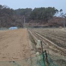 last aim land 이미지