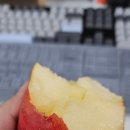 석천암소한우숯불
