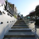 돼지블라썸 이미지