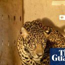 STAY PET SHOP 이미지