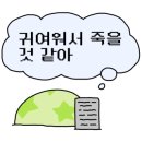 코레 이미지