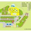 동강전망자연휴양림 이미지