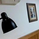 댕댕이,봄 | 우리 댕댕이랑 떠나는 완벽한 전주 나들이