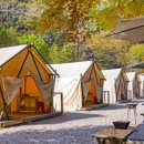 강촌관광농원 이미지