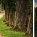 주식회사 마인드셋 이미지