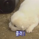 없음 이미지