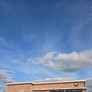 Sweet stay at Joy's | 메종메르미누, 서귀포 대정에서 만나는 '바다 고양이의 집 Maison Mer Minou Cafe