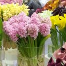 안양감리교회 이미지