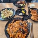 22. 댕도비는 자유가 필요해요