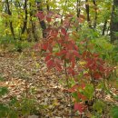 여월체육공원 이미지