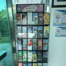 더베이리조트 | 제주 서귀포ㅣ더베이제주리조트 에어비엔비 내돈내산 후기 주차 가격