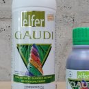 미래로1L 이미지